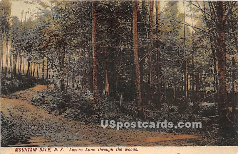 Lovers Land through the woods - Mountaindale, New York NY Postcard