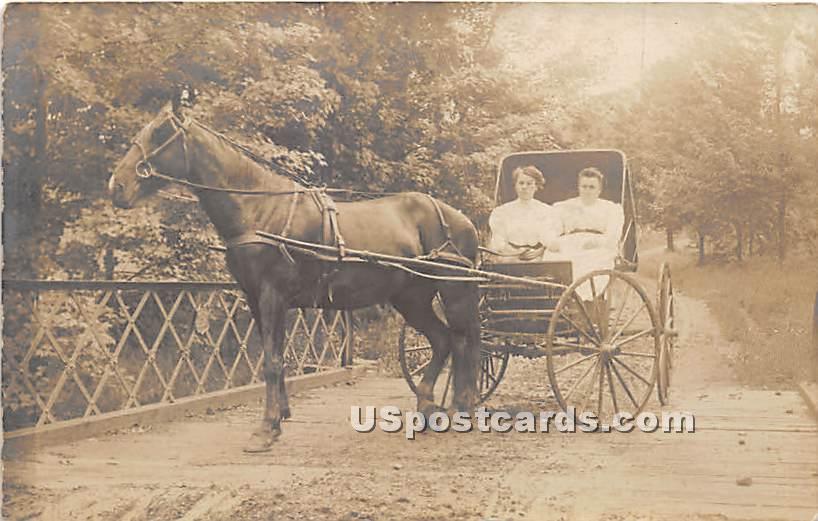 Horse and Buggy - Mountaindale, New York NY Postcard