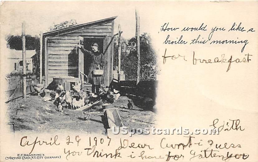 Feeding the Chickens - Mountaindale, New York NY Postcard