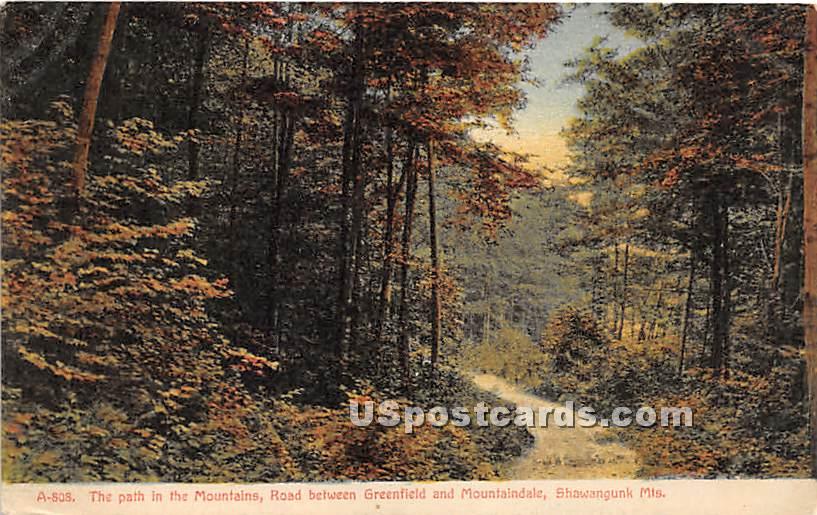 Path in the Mountains - Mountaindale, New York NY Postcard