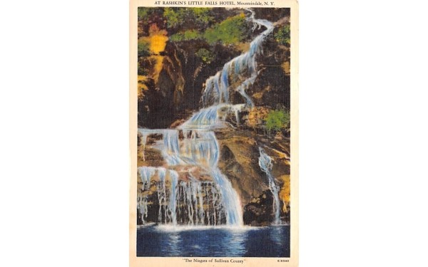 Rashkin's Little Falls Hotel Mountaindale, New York Postcard