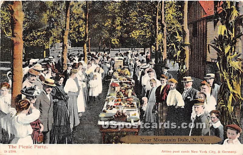 Picnic Party - Mountaindale, New York NY Postcard