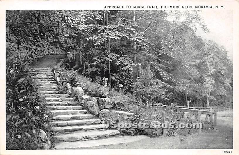 Gorge Trail, Fillmore Glen - Moravia, New York NY Postcard