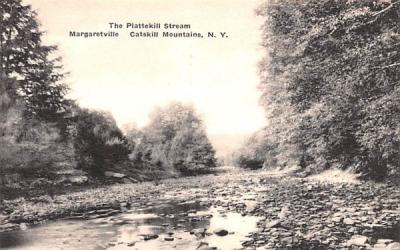 Plattekill Stream Margaretville, New York Postcard
