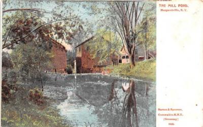 The Mill Pond Margaretville, New York Postcard