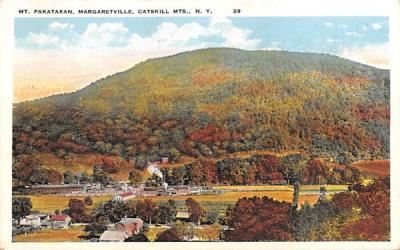 Mount Pakatakan Margaretville, New York Postcard