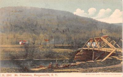 Mount Pakatakan Margaretville, New York Postcard