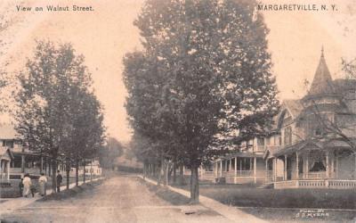 Walnut Street Margaretville, New York Postcard