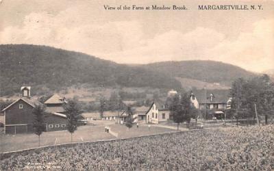 Farm at Meadow Brook Margaretville, New York Postcard