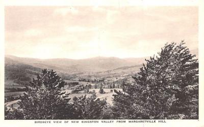 New Kingston Valley from Margaretville Hill New York Postcard