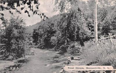 Trout Stream Margaretville, New York Postcard