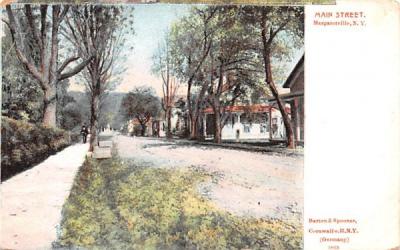 Main Street Margaretville, New York Postcard