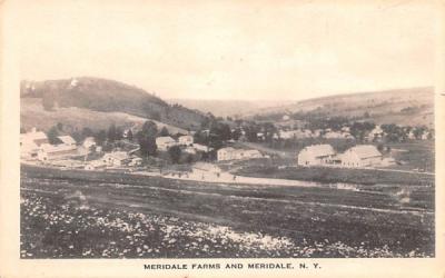 Meridale Farms New York Postcard