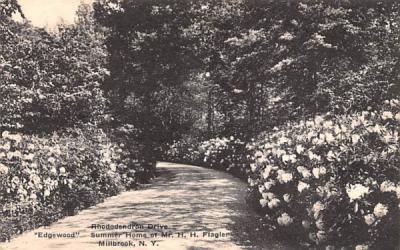 Rhododendron Drive Millbrook, New York Postcard