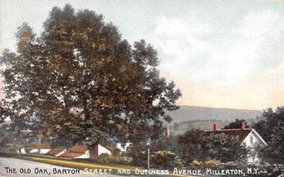 The Old Oak Millerton, New York Postcard