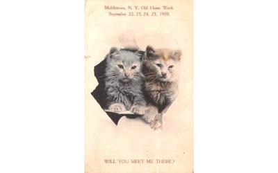 Old Home Week, Sept 22, 23, 24, 25, 1908 Middletown, New York Postcard