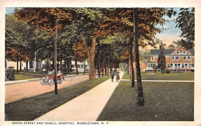 Grove Street Middletown, New York Postcard