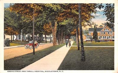 Grove Street Middletown, New York Postcard
