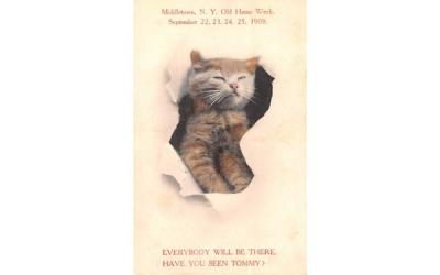 Have you seen Tommy Middletown, New York Postcard