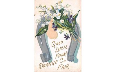 Orange County Fair Middletown, New York Postcard