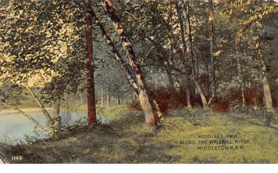 Woodland Path Middletown, New York Postcard