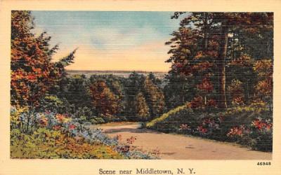 Scene Middletown, New York Postcard