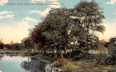 Wallkill River Middletown, New York Postcard