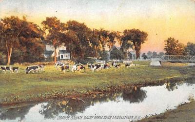 Orange County Dairy Farm Middletown, New York Postcard