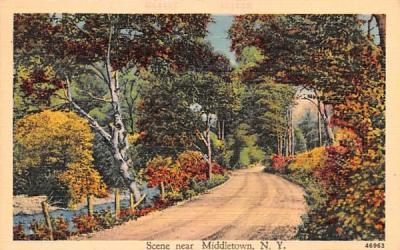Road Scene Middletown, New York Postcard