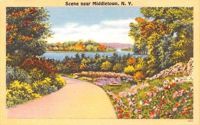 Road Scene Middletown, New York Postcard