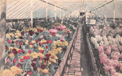 Florist Middletown, New York Postcard