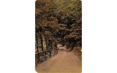 Drive along the Wallkill River Middletown, New York Postcard