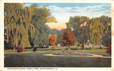Weeping Willows Middletown, New York Postcard