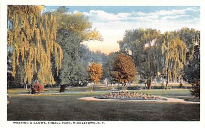 Weeping Willows Middletown, New York Postcard
