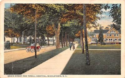 Grove Street Monroe, New York Postcard