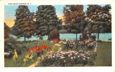 Flower View Monroe, New York Postcard