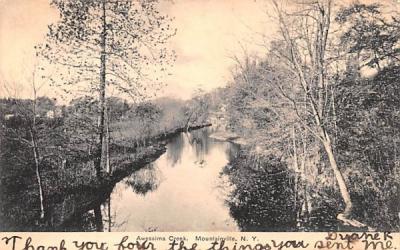Awessima Creek Mountainville, New York Postcard
