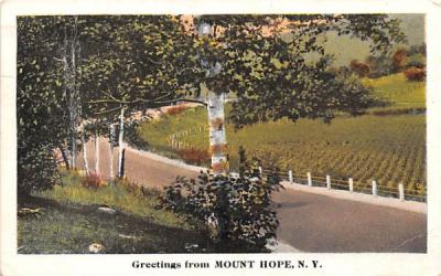 Greetings from Mount Hope, New York Postcard