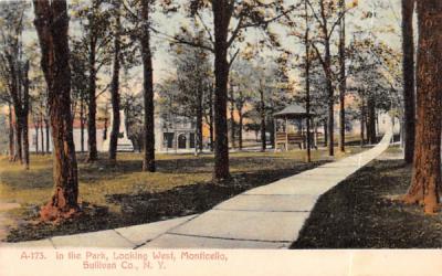 In the Park Monticello, New York Postcard