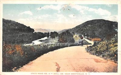 State Road No 4 Monticello, New York Postcard