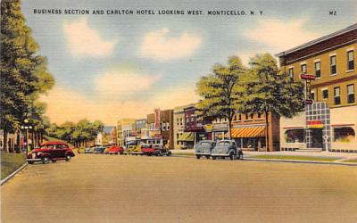 Business Section Monticello, New York Postcard