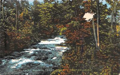 Swift Running Trout Stream Monticello, New York Postcard