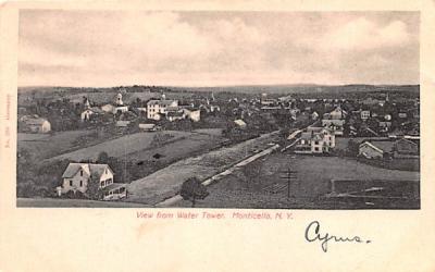 From Water Tower Monticello, New York Postcard
