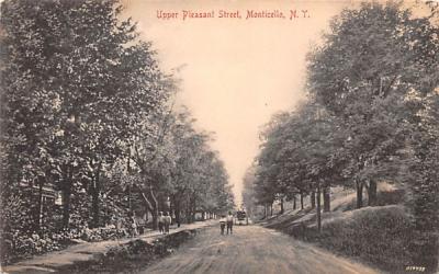 Upper Pleasant Street Monticello, New York Postcard
