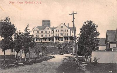 Albert House Monticello, New York Postcard