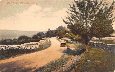State Road Monticello, New York Postcard