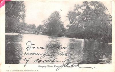 Mongaup River Mongaup Valley, New York Postcard