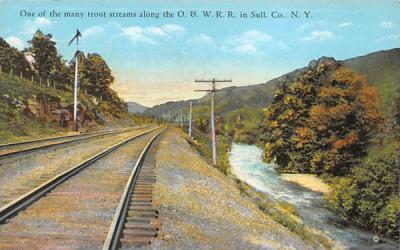 Trout Streems along Misc. Sullivan County, New York Postcard