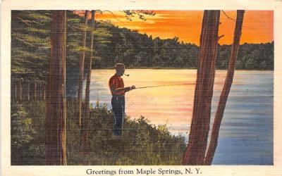 Greetings From Maple Springs, New York Postcard