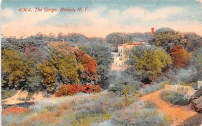 The Gorge Medina, New York Postcard